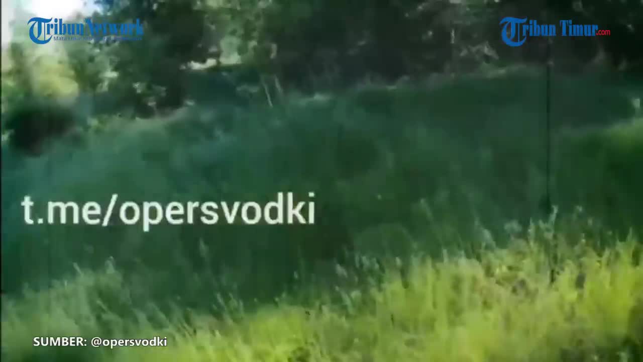 Russian Army Captures Ukrainian Soldier in Krasny Liman District