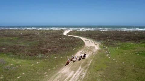 Group Rides Horses Across Countryside (Wide)