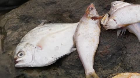 Big Secrets Seafood Restaurants Tried To Hide