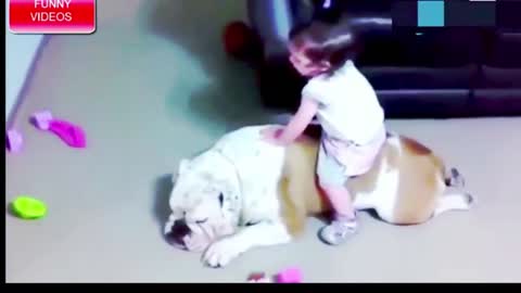 funny baby and pet play video