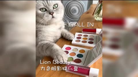 cute cat cooking class