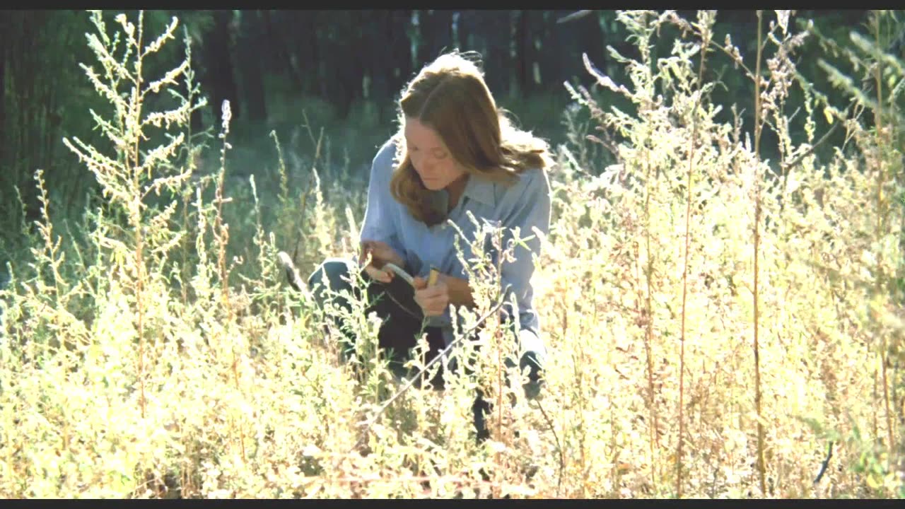Badlands 1973 Terrence Malick Musical Scenes