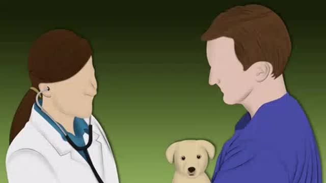 Treat Allergic Dermatitis in Dogs