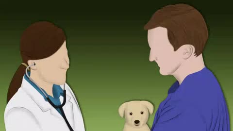 Treat Allergic Dermatitis in Dogs
