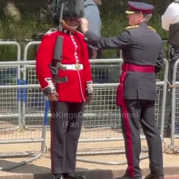 Sweet act of kindness as King's Guard sizzles in the heat