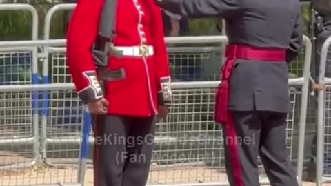 Sweet act of kindness as King's Guard sizzles in the heat