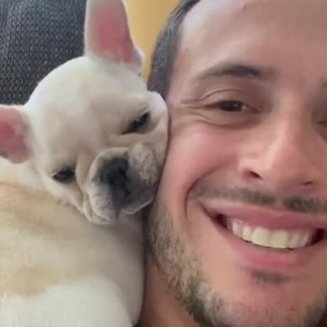 Puppy finds the perfect spot to take a nap