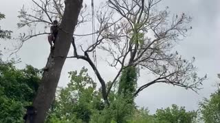 Man Swings From Too High and Lands Hard