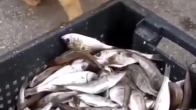 Take It Buddy you Deserve it