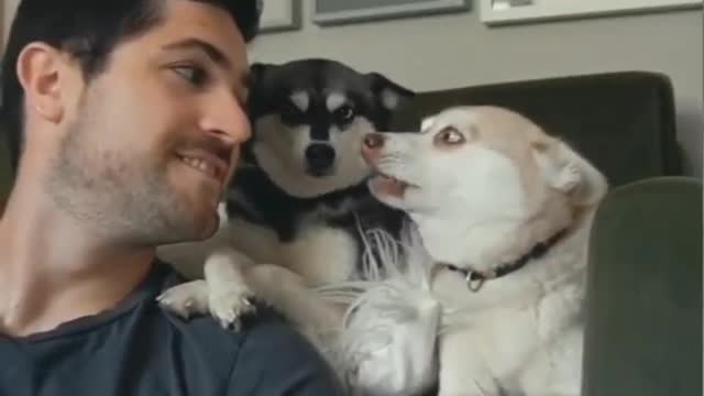 Try with your dog | Funny Dog