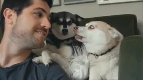 Try with your dog | Funny Dog
