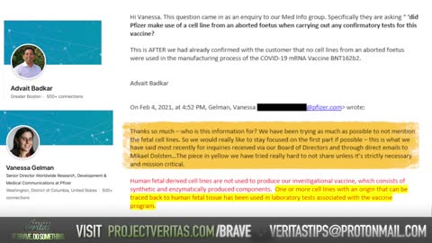 Pfizer Whistleblower LEAKS Execs Emails EXPOSING Suppression of Covid Vax Info From Public