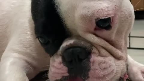I don't need fancy toy, bootle is enough for me