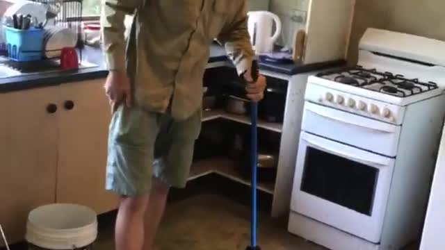 Eastern Brown Snake Hiding Under the Fridge