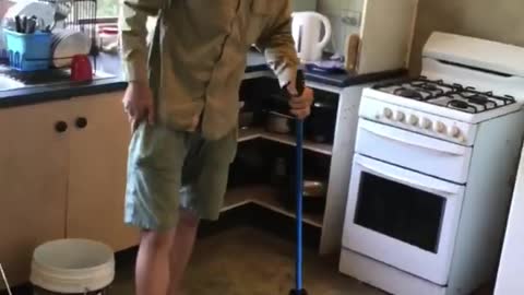 Eastern Brown Snake Hiding Under the Fridge