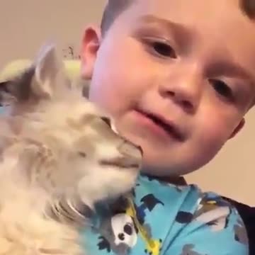 Beautiful boy and the coolest cat