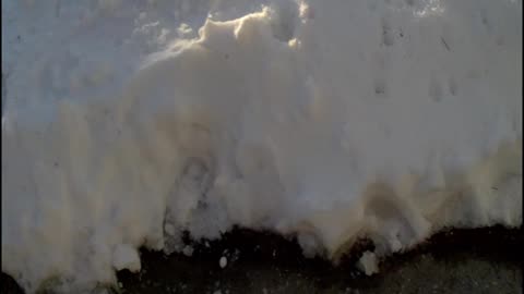 a few waterproof firecrackers in the snow