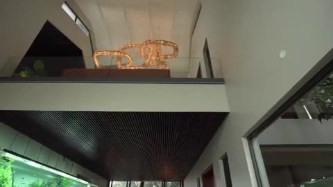 Relaxing video fish view
