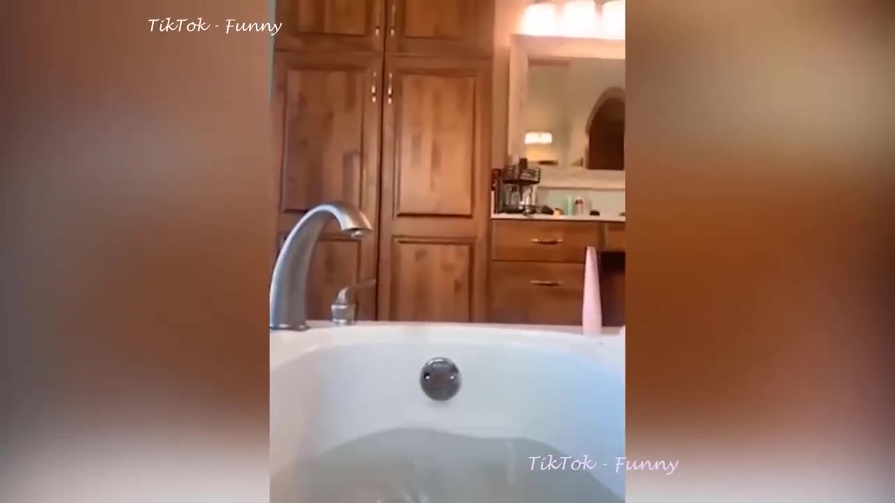 Funny Animal Videos 2023 Funniest Dogs and Cats Videos 🤣🤣