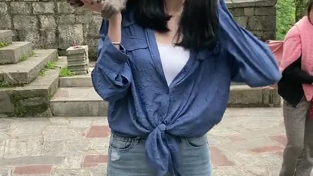 Monkeys and humans live together peacefully