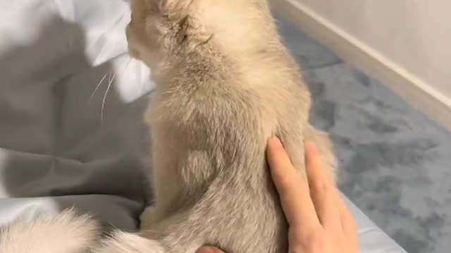 Hold on