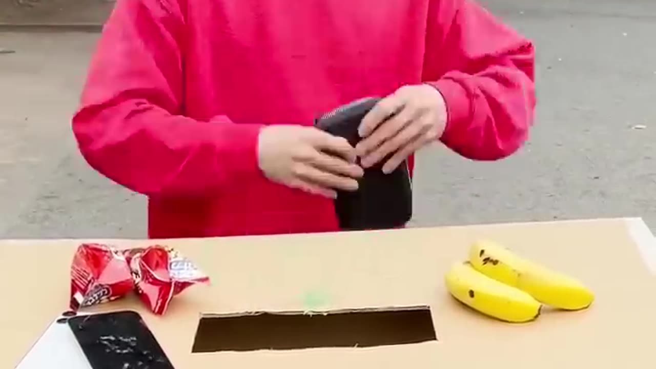 Funny Animal Videos 😂😂😂