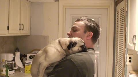 pug hug