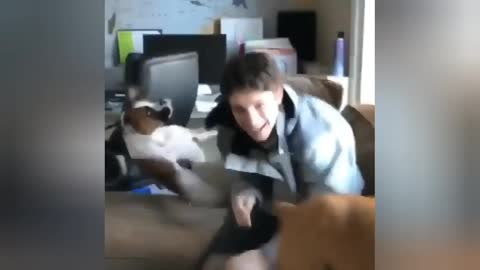 Try NOT to LAUGH | Funny Pet FAILS 🤣🤣