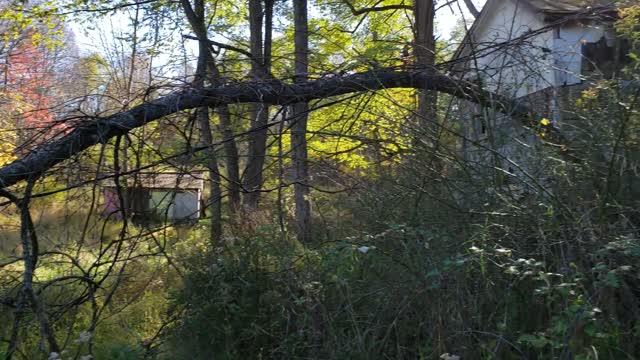 Abandoned camp we explored upstate NY