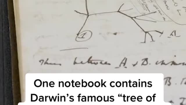 Charles Darwin's notebook is back at Cambridge University