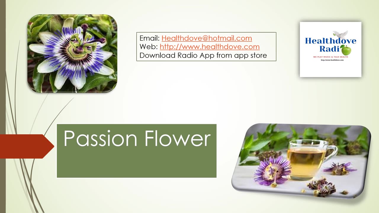 Passion Flower