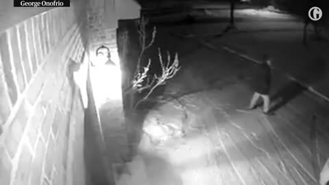 Meteor flashes across the sky in Michigan