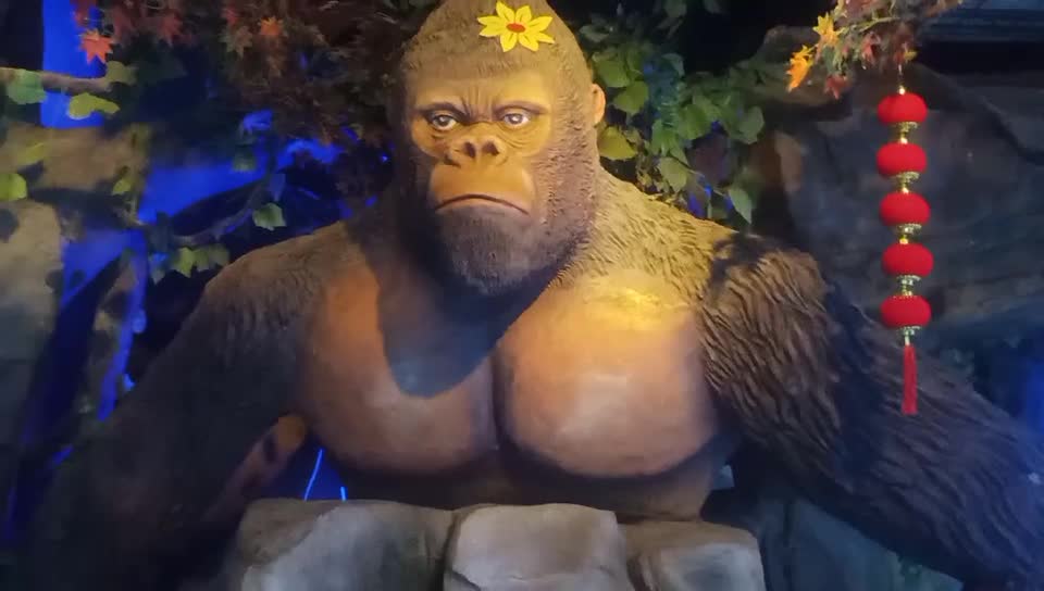 Gorilla looks angry