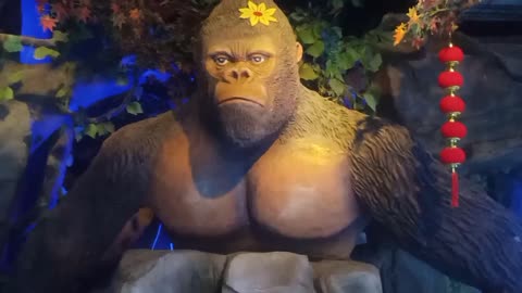 Gorilla looks angry
