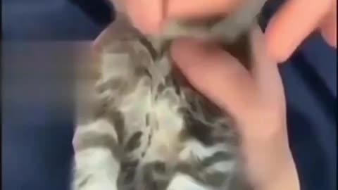 SatisfyingThat Makes You Calm Original Satisfying Videos PART - 2