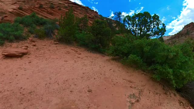 KB Zion Scenic Drive Tour