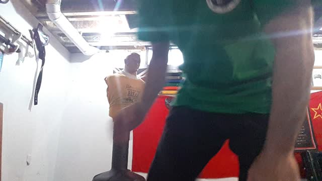 Turn side kick