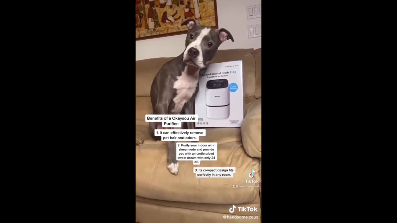 stupid things
