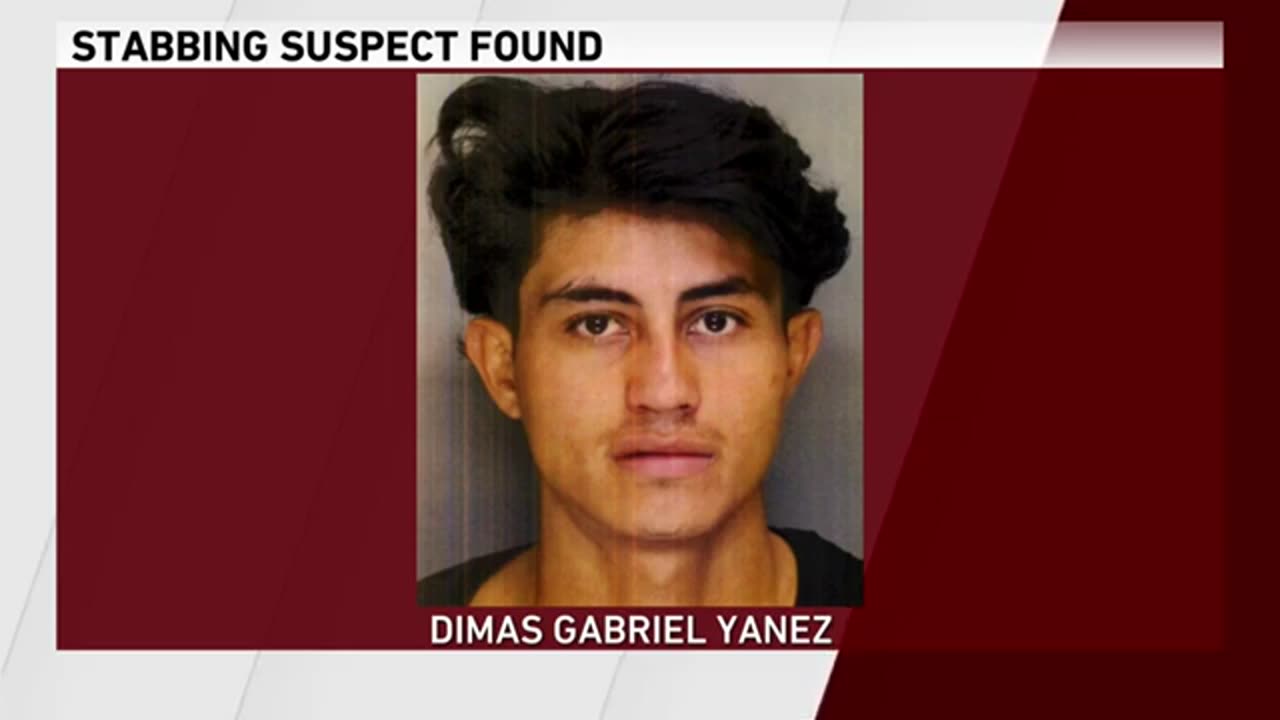 Person of interest arrested in connection with apparent random stabbing attack in Lake County, India