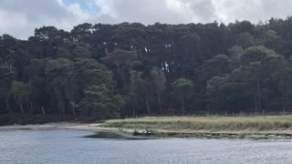 Travel to Brownsea Island