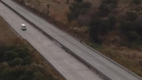 Highway between trees