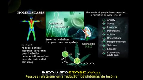 Apoio sionista ao Hamas