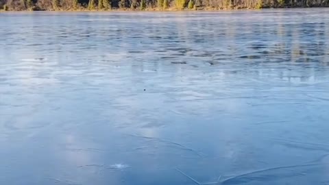 She threw a stone into the frozen river, but did not expect this!