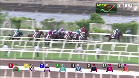 Horse_Race_2022060506_Chinese