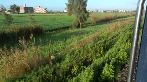 Egyptian natural scenes of the Egyptian countryside you cannot find anywhere in the world ...