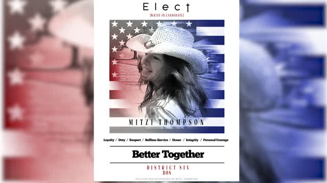 Mitzi Thompson Stew fundraiser highlights