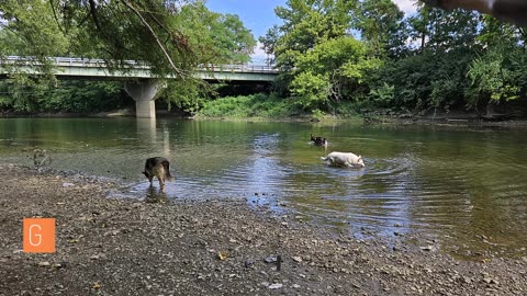 Children at Alum Creek