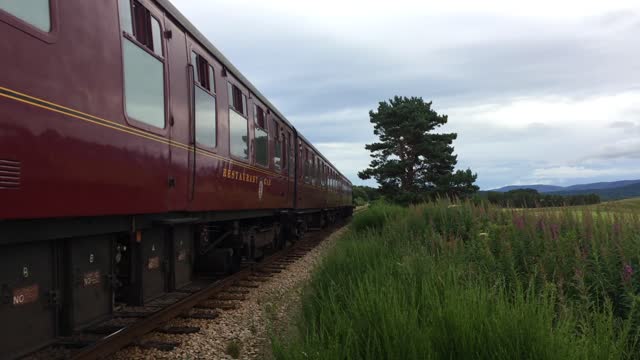 The Strathspey Railway passing by. Fantastic scenery