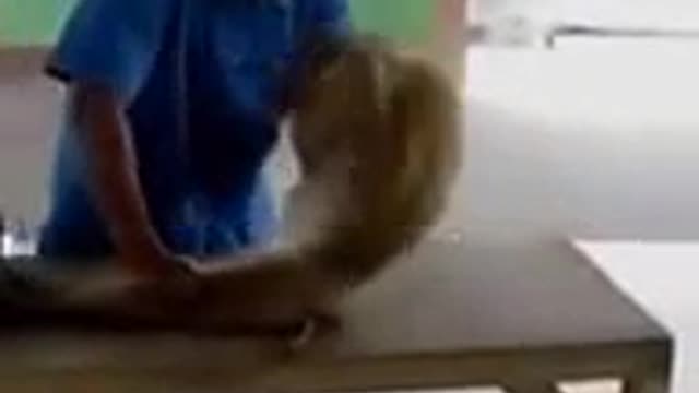 Funny monkey workout