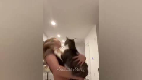 Dogs and Cats React to Magic Tricks: Mind-Blown Pets